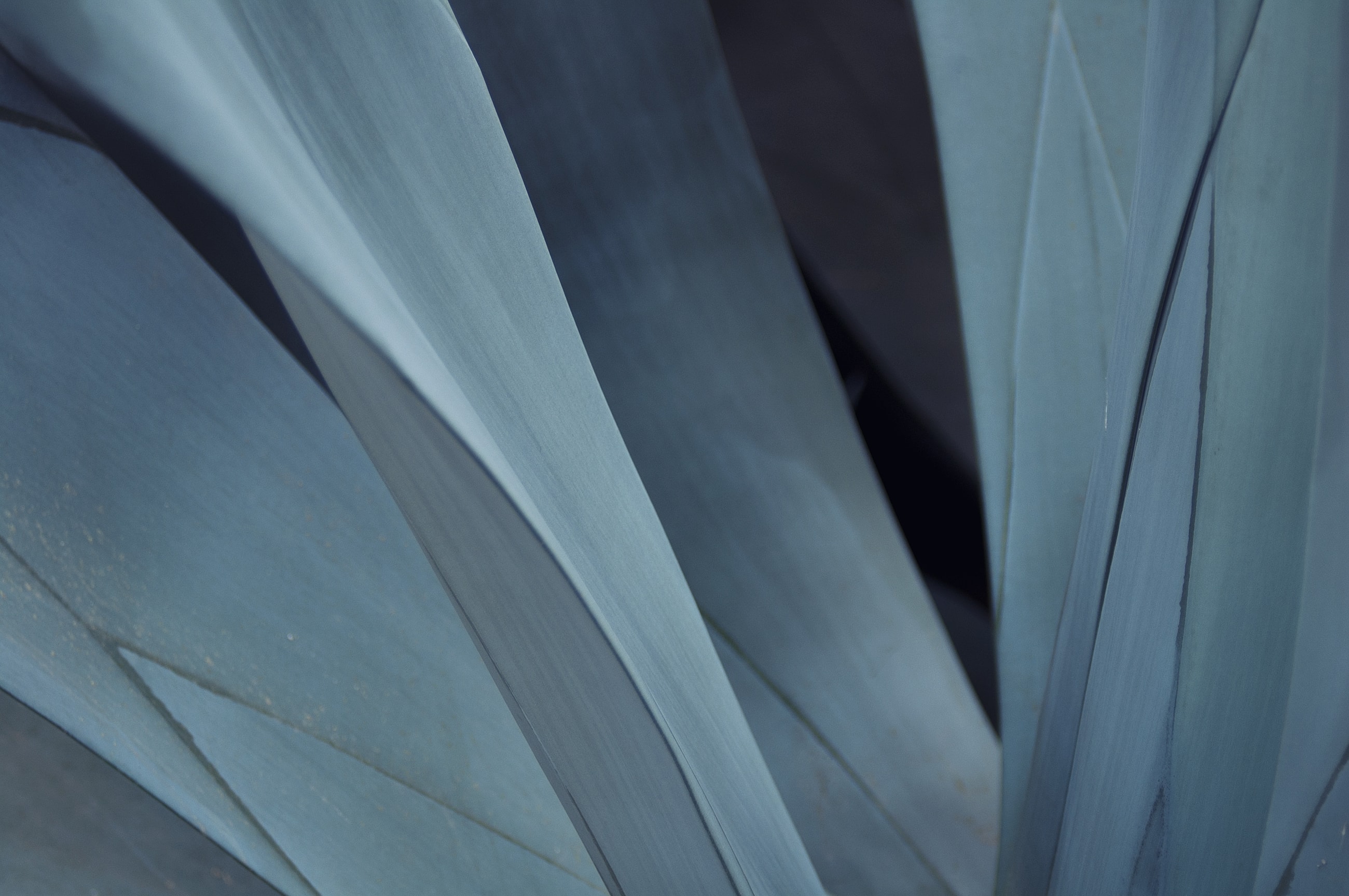 Footer Form Background Image